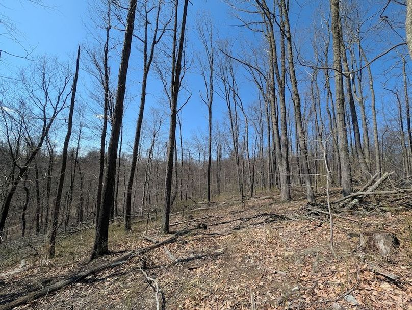 PXL_20260326_165614091