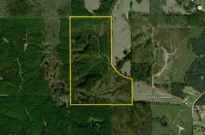 Screenshot 2026-02-24 at 8.56.17 AM