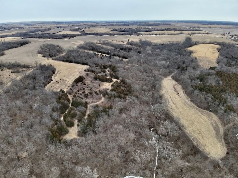 CFC88DBA-3E9B-423A-AA3B-259F01DA4E87_1_201_a