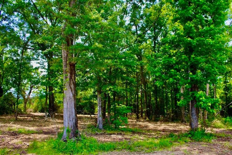 D09C815F-CC2C-4A85-BFED-BA519812D901_1_105_c