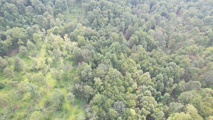 dji_fly_20250806_151910_611_1754528916446_photo