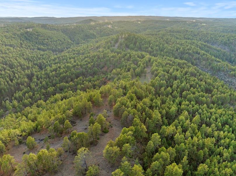 28-DJI_20250507185429_0782_D