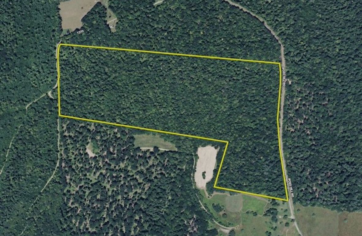 Screen Shot 2026-03-12 at 8.05.36 PM