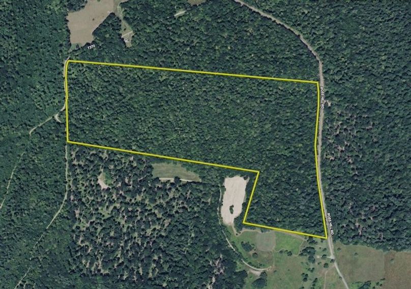 Screen Shot 2026-03-12 at 8.05.36 PM