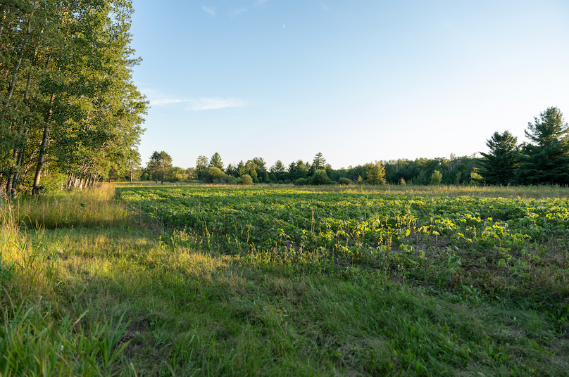 Cass MN 1095 Featured ProPhoto-42