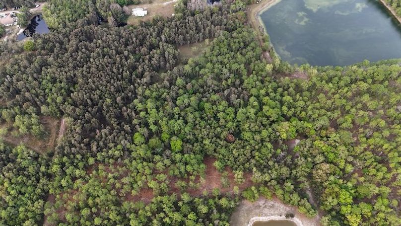 DJI_20260118094056_0171_D