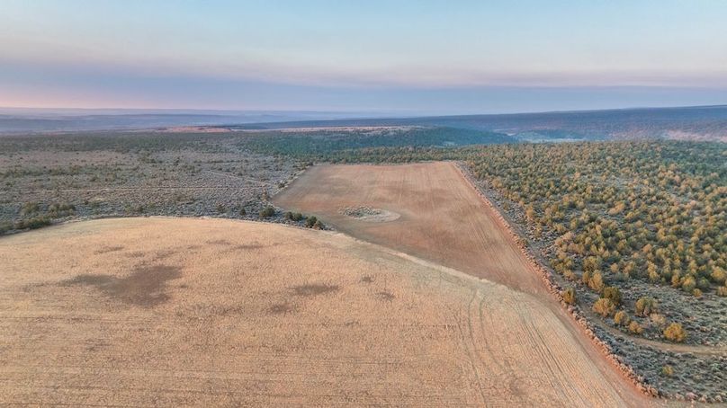 DJI_0438_1