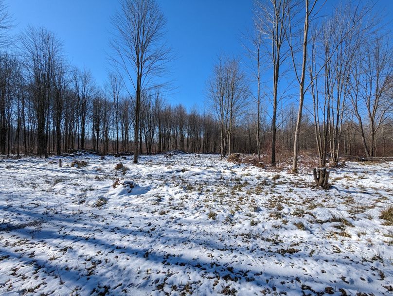 PXL_20230202_164743004