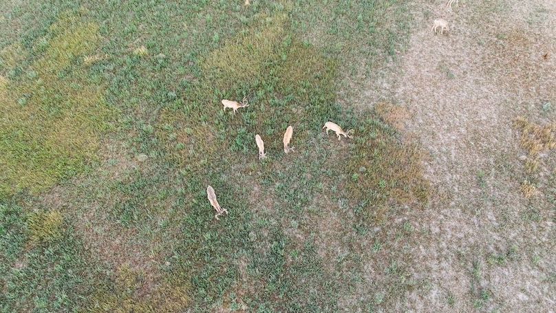DJI_20240810063419_0051_D