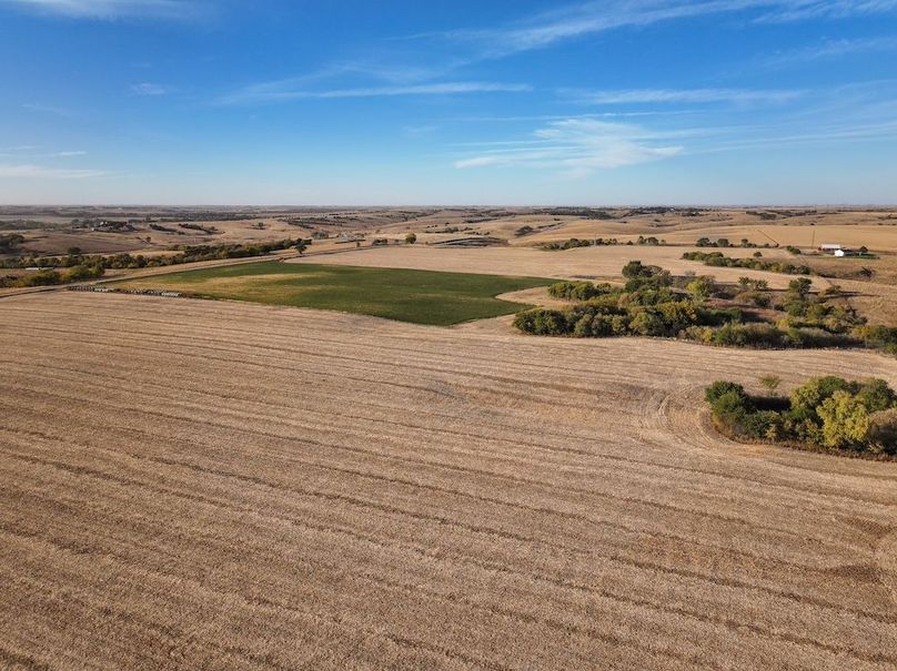 Copy of 7 Western Sky Farms, LLC-26