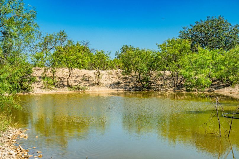 37-web-or-mls-DSC08629