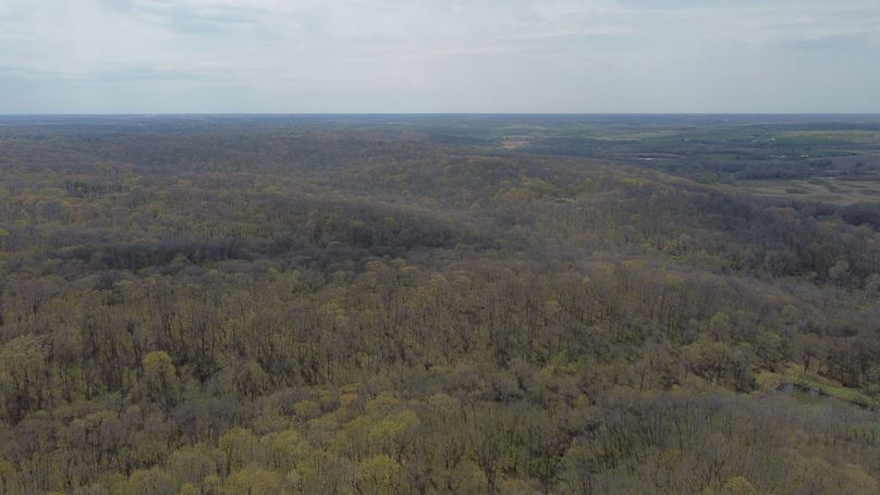 DJI_0743