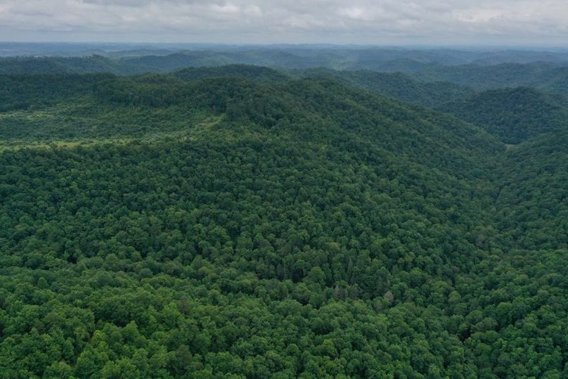 008 aerial drone shot from the north boundary looking south down the valley