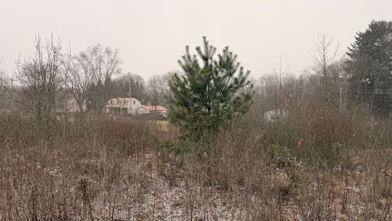 6357927D-15F7-444B-9AF8-6240F2CF7238_1_201_a