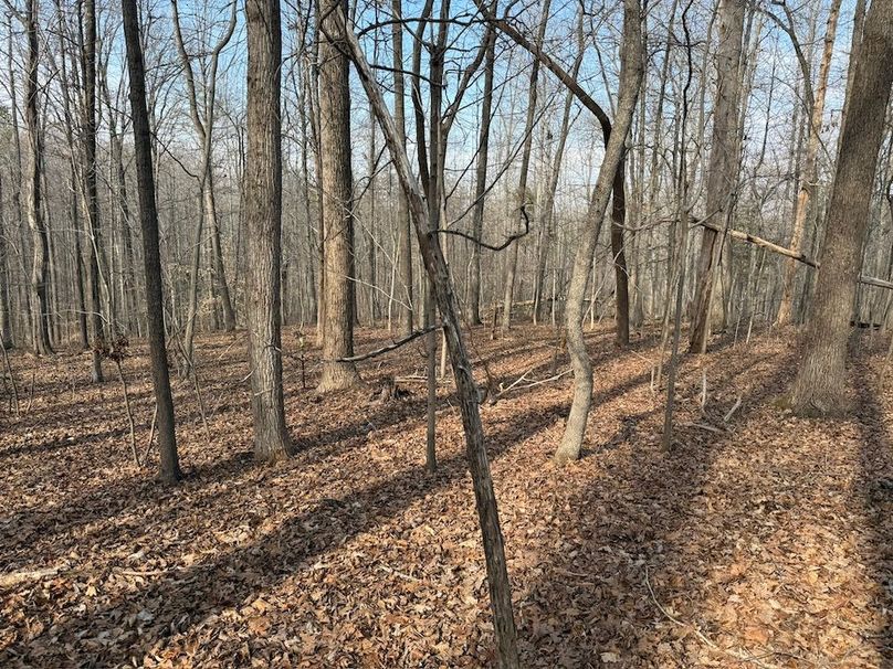 5A131241-3272-4F87-91BA-15D29E158EC9_1_102_o