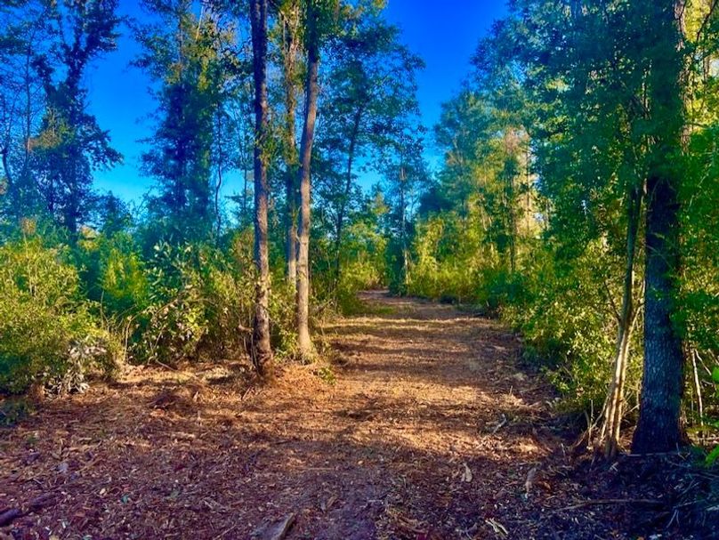 5F0E751D-4A01-4393-BECB-E384DD9C9C52_1_105_c