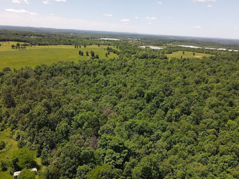 dji_fly_20260507_122202_735_1778174531113_photo