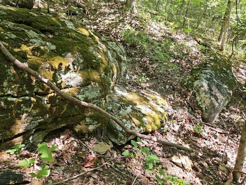 DJI_20240808_104559_154