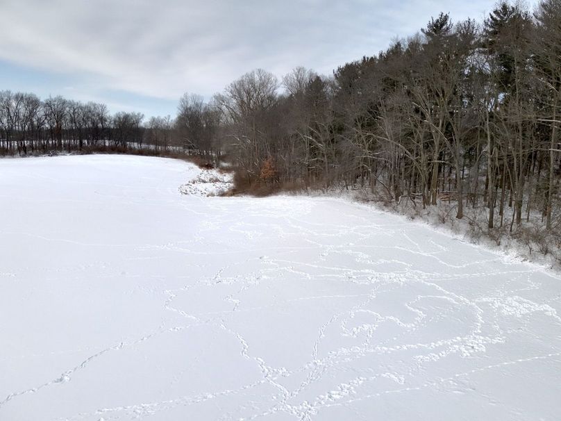 1.Copy of Tract 2 Strip of pines facing West from Onsted Rd Large