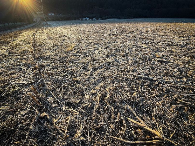 Cayuga 32 Stoyell Photos 38