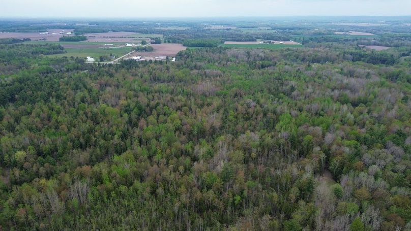 DJI_0012