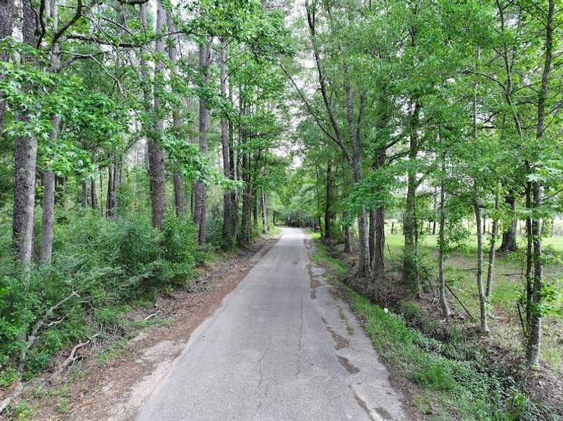 dji_fly_20260414_101808_0068_1776201098061_photo