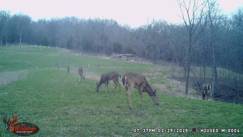 TRAIL CAM 13