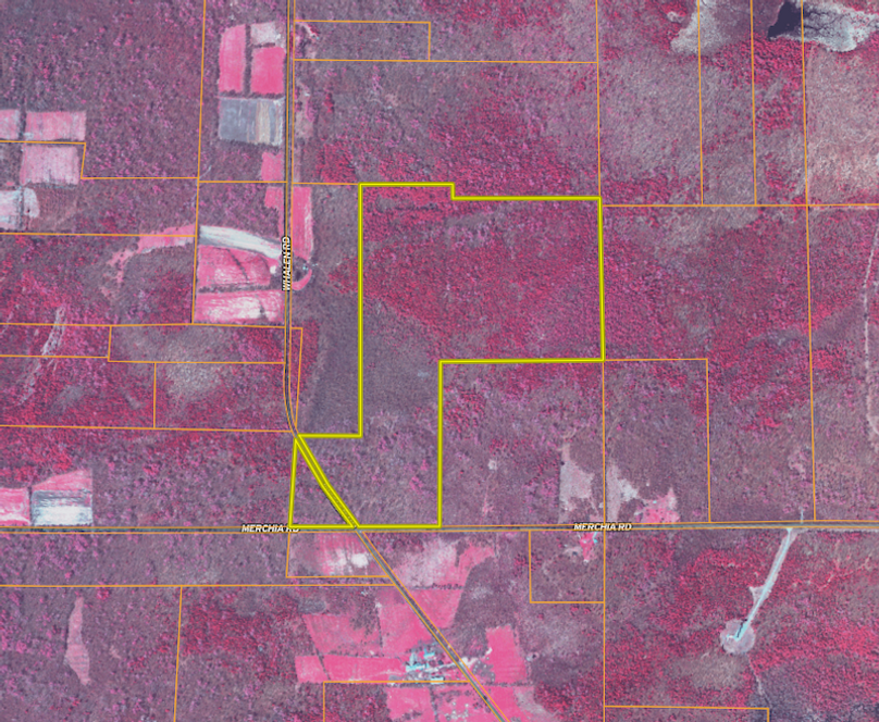 Screenshot 2025-07-03 092132