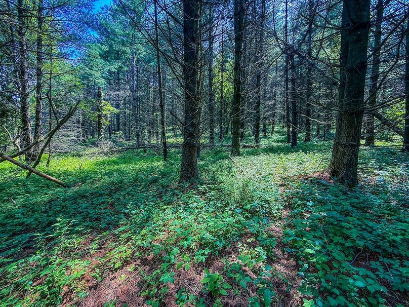 Houston 134.41 Updated Oct-28