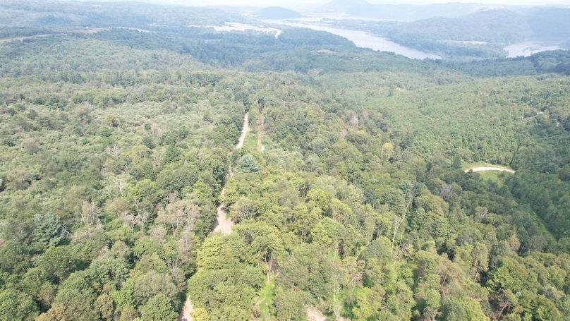 dji_fly_20250806_152300_624_1754528892246_photo