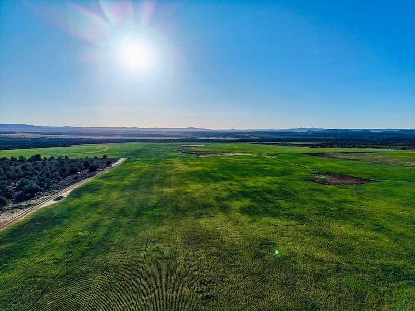 DJI_20260423075500_0209_D