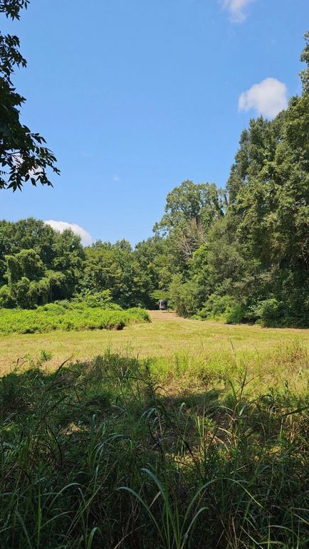 Resized_Snapchat-802767698-2