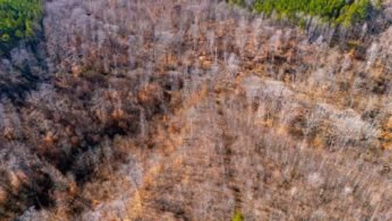 mckinnon tract 14-05