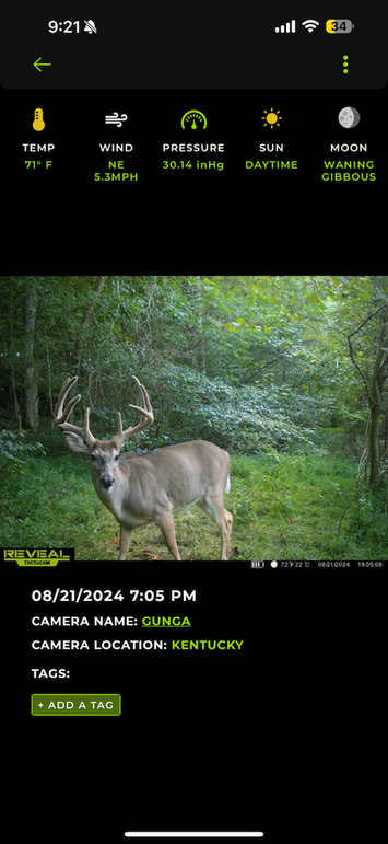 trailcam10