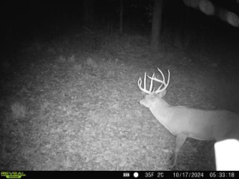 860322064793737-70-4-10172024053318-W1003423