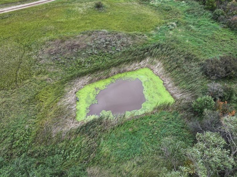 DJI_20250801183931_0757_D