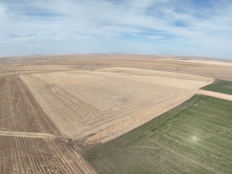 DJI_0382
