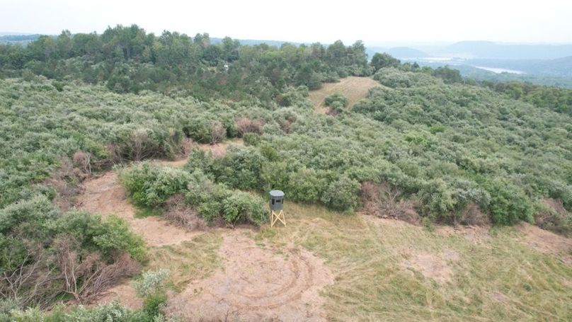 dji_fly_20250806_125310_550_1754499861020_photo