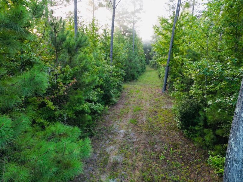 dji_fly_20240831_075936_419_1725033179146_photo