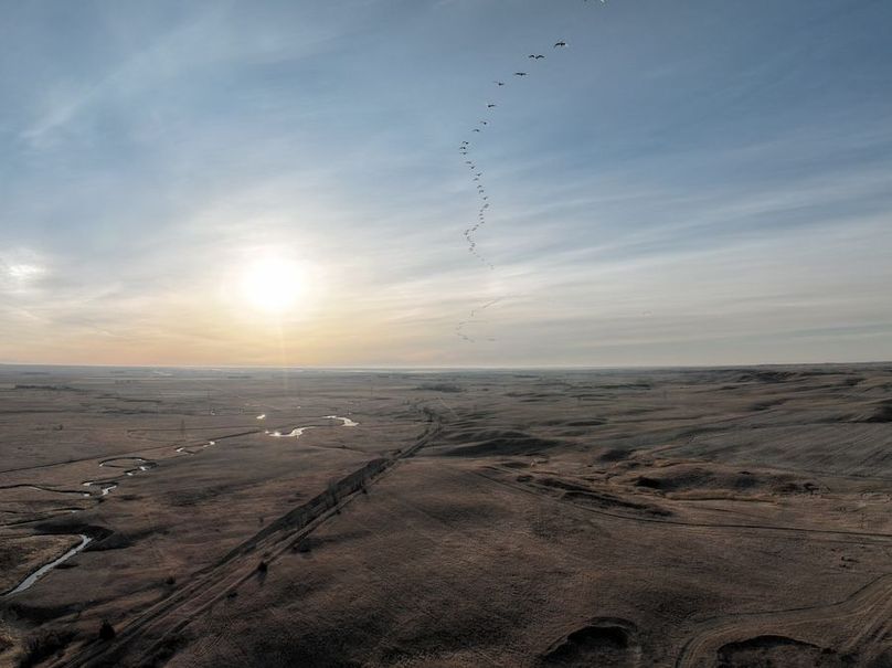 DJs_0291_Tract_1_&_2_Geese