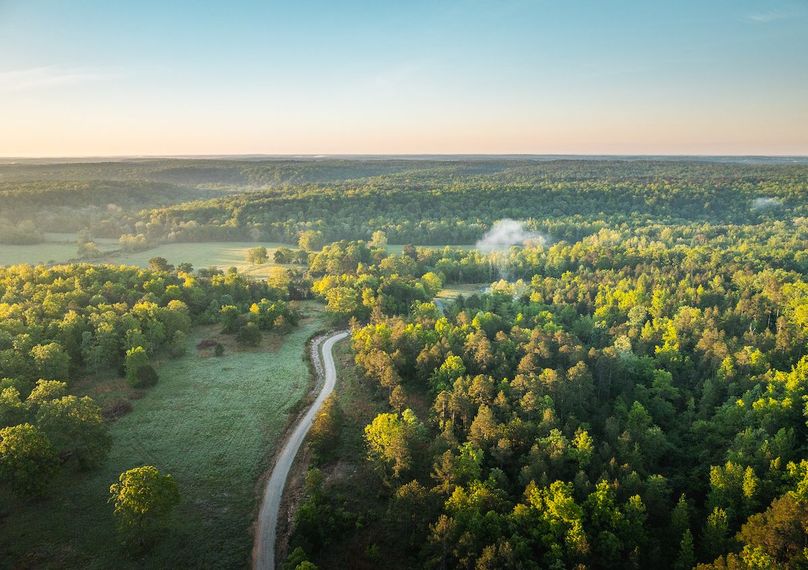DJI_20250506064035_0114_D