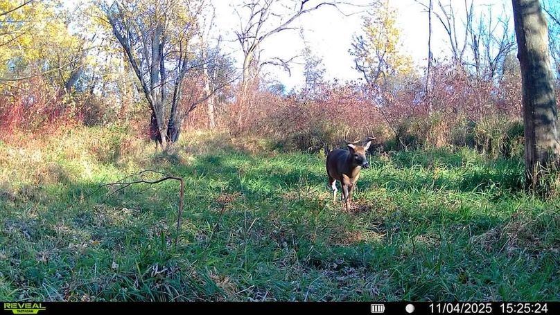 016579008159910-100-4-11042025152524-SYFW00317