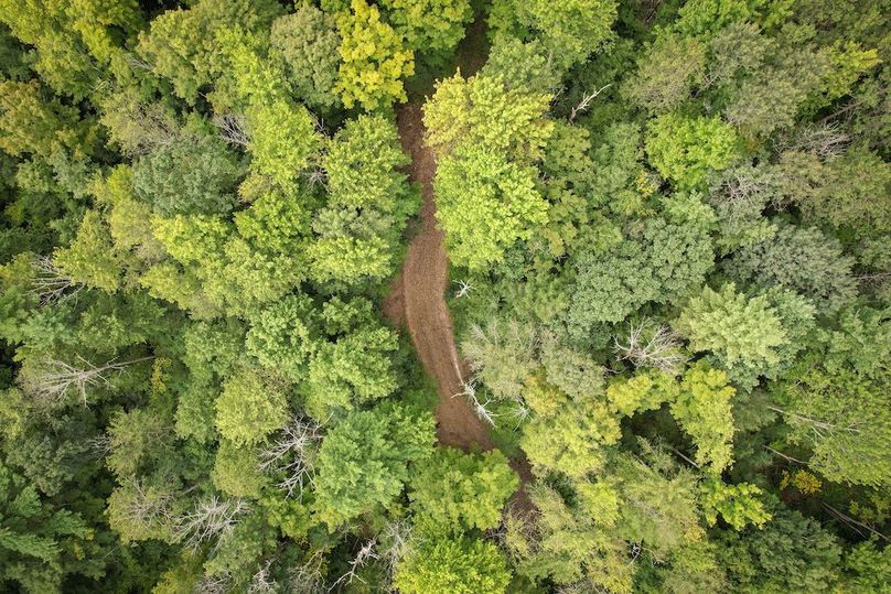 Chemung_60.55_Baumunk_Photos_15