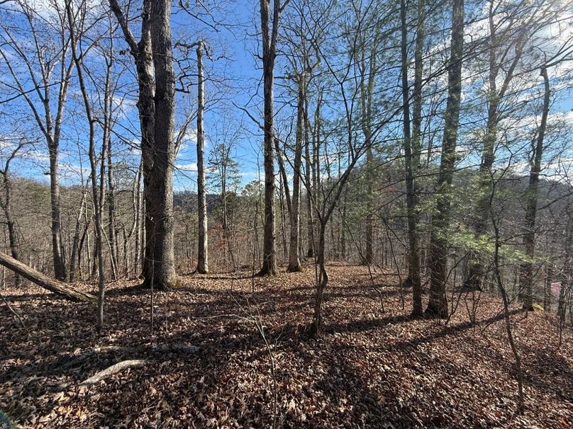 010 view to the south from the ridge