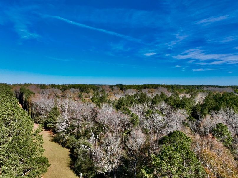 B26EC2C0-BC13-46F5-890E-5E65F93ABD57_1_201_a-2