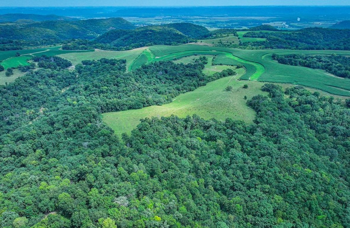 New Albin 8_8 edits-09