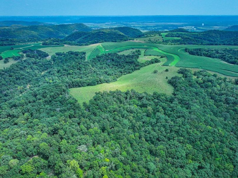 New Albin 8_8 edits-09