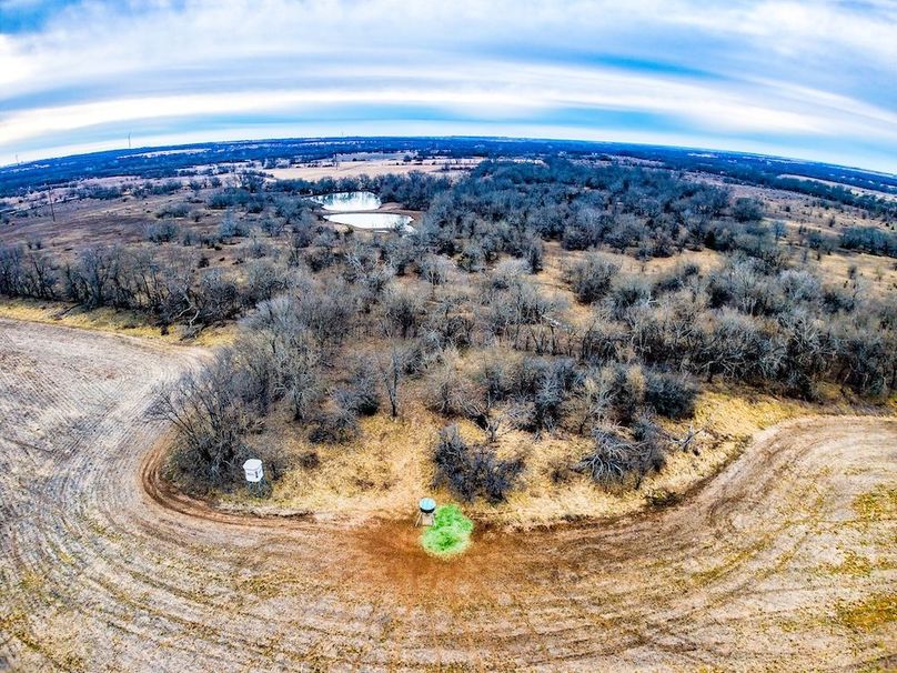 DJI_20260119084555_0646_D