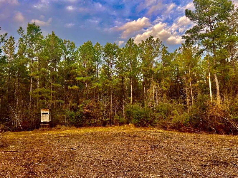 97F6377A-E318-495A-BF9F-58924F373F9F_1_201_a