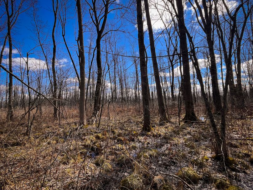 Oswego_165.52_Lashomb_Photos_46